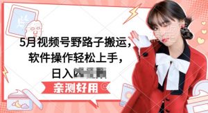 5月视频号野路子搬运，软件操作轻松上手，日入三位数【揭秘】-网创学习资源