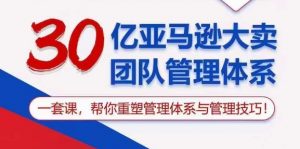 30亿亚马逊大卖团队管理体系，一套课，帮你重塑管理体系与管理技巧-网创学习资源