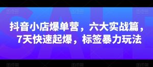 抖音小店爆单营，六大实战篇，7天快速起爆，标签暴力玩法-网创学习资源