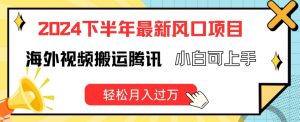 2024下半年最新风口项自，海外视频搬运腾讯，小白可上手，轻松月入过万【揭秘】-网创学习资源