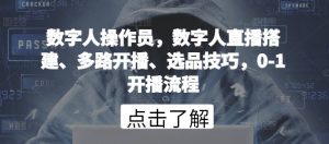 数字人操作员，数字人直播搭建、多路开播、选品技巧，0-1开播流程-网创学习资源