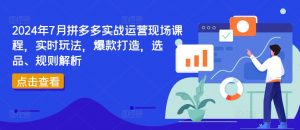 2024年7月拼多多实战运营现场课程，实时玩法，爆款打造，选品、规则解析-网创学习资源