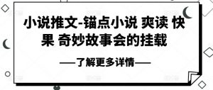 小说推文-锚点小说 爽读 快果 奇妙故事会的挂载-网创学习资源
