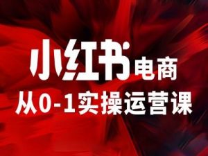 小红书电商从0-1实操运营课，让你从小白到精英-网创学习资源