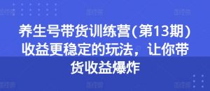 养生号带货训练营(第13期)收益更稳定的玩法，让你带货收益爆炸-网创学习资源