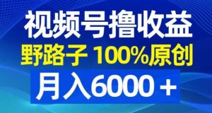 视频号野路子撸收益，100%原创，条条爆款，月入6000＋【揭秘】-网创学习资源