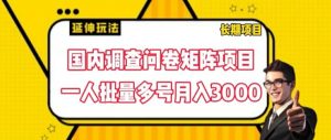 国内调查问卷矩阵项目，一人批量多号月入3000【揭秘】-网创学习资源