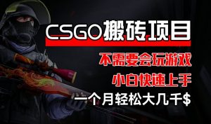CSGO 装备搬砖项目，操作简单，不需要会玩游戏，小白也能快速上手，一个月轻松大几千【揭秘】-网创学习资源