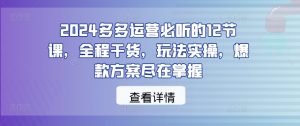 2024多多运营必听的12节课，全程干货，玩法实操，爆款方案尽在掌握-网创学习资源