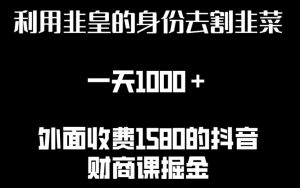 利用非皇的身份去割韭菜，一天1000+(附详细资源)【揭秘】-网创学习资源