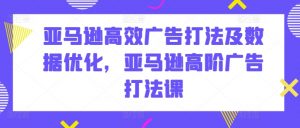 亚马逊高效广告打法及数据优化，亚马逊高阶广告打法课-网创学习资源