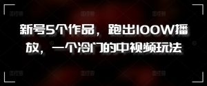 新号5个作品，跑出100W播放，一个冷门的中视频玩法【揭秘】-网创学习资源