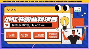 小红书创业粉项目日+500粉，每天20分钟躺赚长尾收益，无脑操作，宝妈，小白抓紧冲【揭秘】-网创学习资源