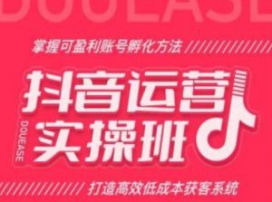 抖音运营实操班，掌握可盈利账号孵化方法，打造高效低成本获客系统-网创学习资源
