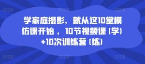 学家庭摄影，就从这10堂模仿课开始 ，10节视频课(学)+10次训练营(练)-网创学习资源