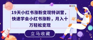 19天小红书涨粉变现特训营，快速学会小红书涨粉，月入十万轻松变现-网创学习资源