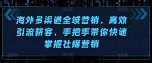 海外多渠道全域营销，高效引流获客，手把手带你快速掌握社媒营销-网创学习资源