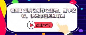 短剧原创解说制作全流程，新手必看，快速掌握短剧解说-网创学习资源