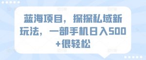 蓝海项目，探探私域新玩法，一部手机日入500+很轻松【揭秘】-网创学习资源