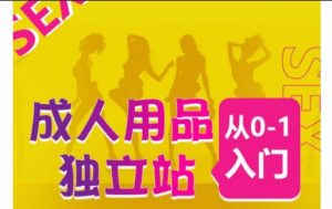 成人用品独立站从0-1入门，成品独立站运营全流程教学，七大好卖成品独立站推荐-网创学习资源