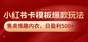 小红书卡模板爆款玩法，售卖情趣内衣，日盈利500+【揭秘】-网创学习资源