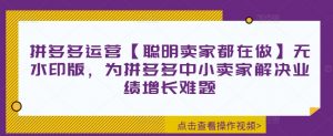 拼多多运营【聪明卖家都在做】无水印版，为拼多多中小卖家解决业绩增长难题-网创学习资源