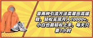 靠两种引流方法卖莆田高端鞋，轻松实现月入1W+，小白也能轻松上手，每天只要1小时【揭秘】-网创学习资源