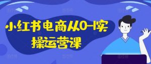 小红书电商从0-1实操运营课，小红书手机实操小红书/IP和私域课/小红书电商电脑实操板块等-网创学习资源