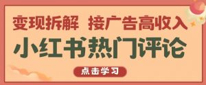 小红书热门评论，变现拆解，接广告高收入【揭秘 】-网创学习资源