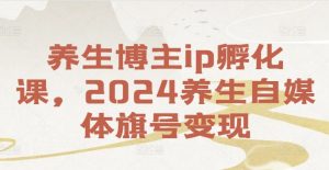养生博主ip孵化课，2024养生自媒体旗号变现-网创学习资源