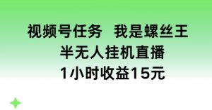 视频号任务，我是螺丝王， 半无人挂机1小时收益15元【揭秘】-网创学习资源