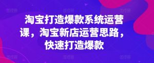 淘宝打造爆款系统运营课，淘宝新店运营思路，快速打造爆款-网创学习资源