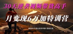 30天逆袭视频带货高手，单月变现6万加特训营-麦子甜-网创学习资源