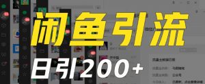 外面收费6980闲鱼引流法，日引200+创业粉，每天稳定2000+收益，保姆级教程（适合居家创业）-网创学习资源