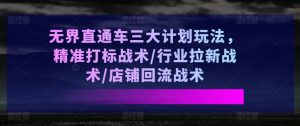 无界直通车三大计划玩法，精准打标战术/行业拉新战术/店铺回流战术-网创学习资源