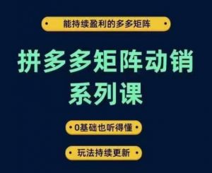 拼多多矩阵动销系列课，能持续盈利的多多矩阵，0基础也听得懂，玩法持续更新-网创学习资源