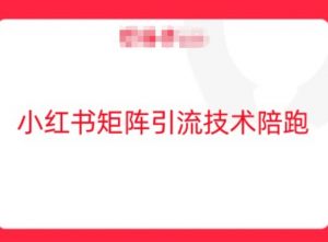 小红书矩阵引流技术，教大家玩转小红书流量-网创学习资源