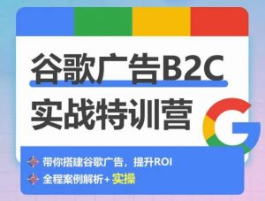 谷歌广告B2C实战特训营，500+谷歌账户总结经验，实战演示如何从0-1搭建广告账户-网创学习资源