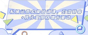 私域运营实操培训课，引流获客+转化变现双增长驱动-网创学习资源