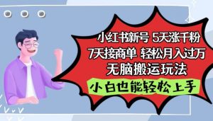 小红书影视泥巴追剧5天涨千粉，7天接商单，轻松月入过万，无脑搬运玩法【揭秘】-网创学习资源