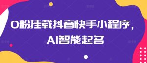 0粉挂载抖音快手小程序，AI智能起名-网创学习资源