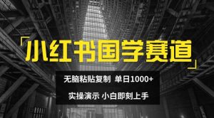 小红书国学赛道，无脑粘贴复制，单日1K，实操演示，小白即刻上手【揭秘】-网创学习资源