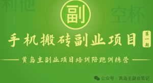 手机搬砖小副业项目训练营1.0，实测1小时收益50+，一部手机轻松日入100+-网创学习资源