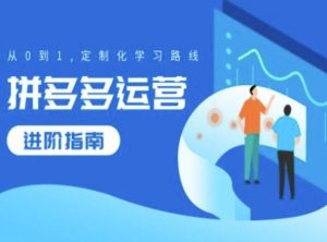 拼多多运营进阶指南，从0到1定制化学习路线-网创学习资源