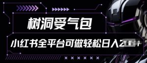 小红书等全平台树洞受气包项目，轻松日入一两张【揭秘】-网创学习资源