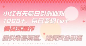 小红书无脑每日引流创业粉500+，小白每天只花半小时，躺赚长尾收益【揭秘】-网创学习资源