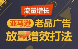 流量增长 亚马逊老品广告放量增效打法，短期内广告销量翻倍-网创学习资源