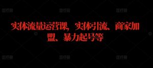 实体流量运营课，实体引流、商家加盟、暴力起号等-网创学习资源