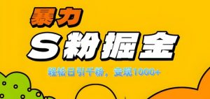 单人单机日引千粉，变现1k+，S粉流量掘金计划攻略【揭秘】-网创学习资源