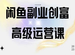 闲鱼电商运营高级课程，一部手机学会闲鱼开店赚钱-网创学习资源